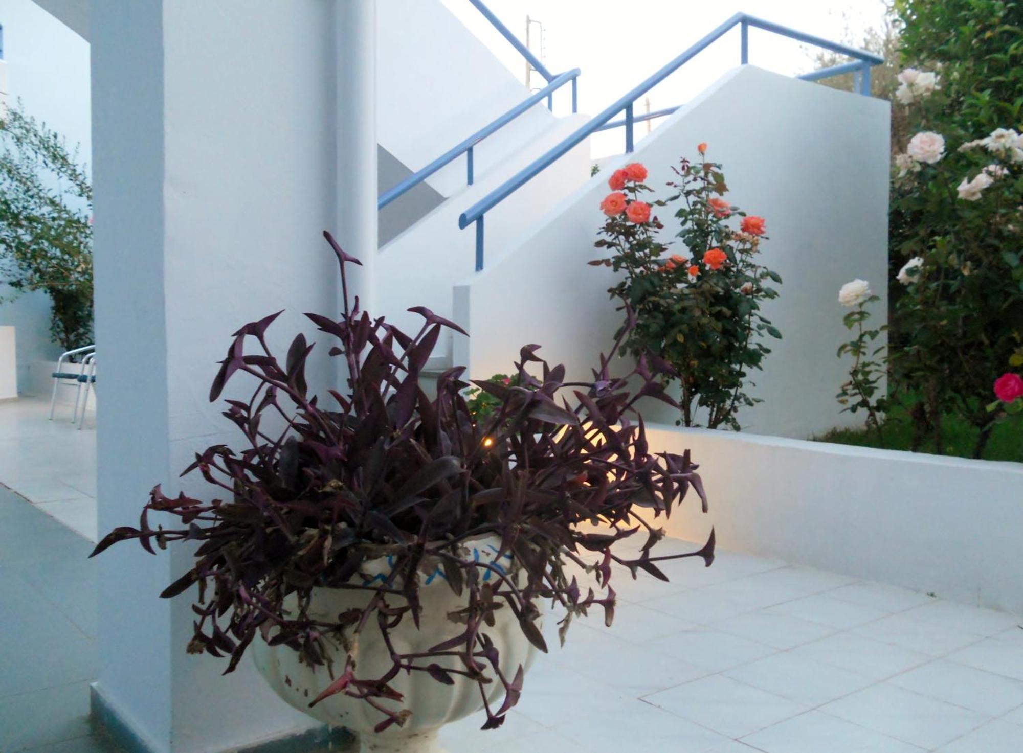 Dimitra Apartment Hotel Skafidia Bagian luar foto