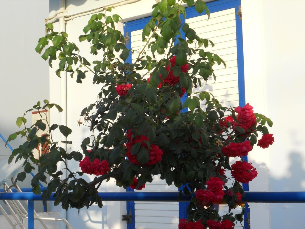 Dimitra Apartment Hotel Skafidia Bagian luar foto